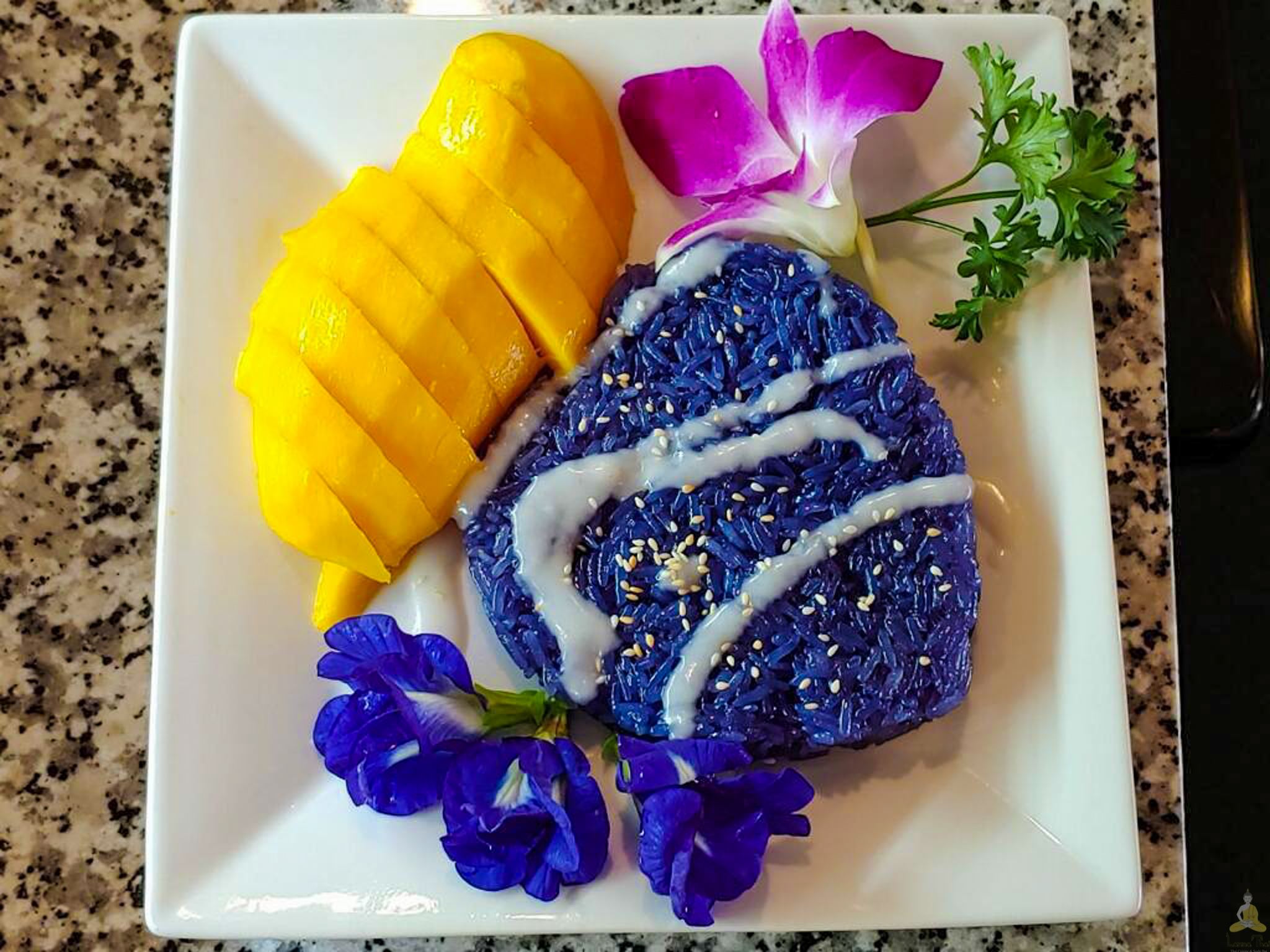 Food and moments at Lanna Thai Jupiter
